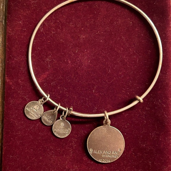 Alex and Ani silver Path of Life bracelet - Picture 6 of 11
